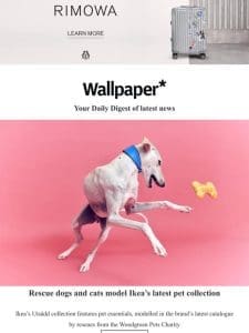 Rescue dogs model Ikea pet accessories