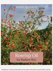 Rosehip Oil for Radiant Skin