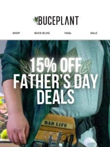 Save 15% on Dad’s Aquascaping Deals