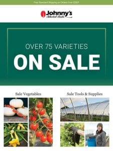 Save Now: Shop Sale Categories