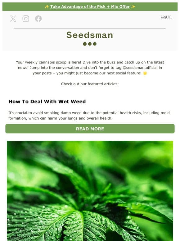 Seedsman Weekly Updates
