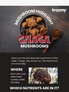 ‘Shroom Highlights: Chaga