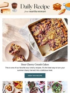 Sour Cherry Crumb Cakes