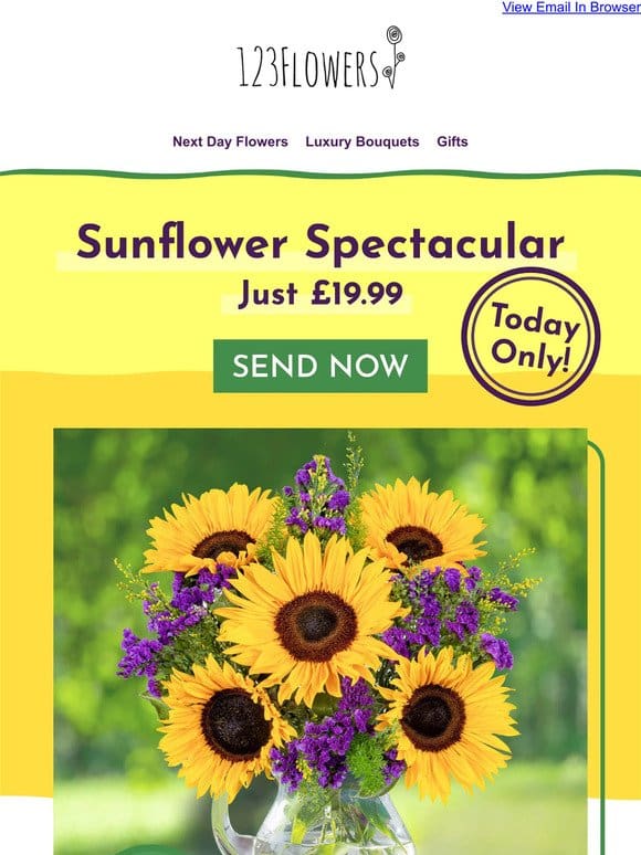 Sunflowers Now Only £19.99!