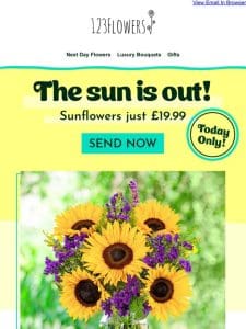 Sunflowers Only £19.99 With FREE Delivery!