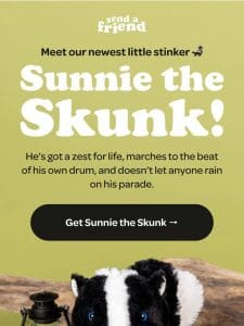 Sunnie the Skunk is HERE!