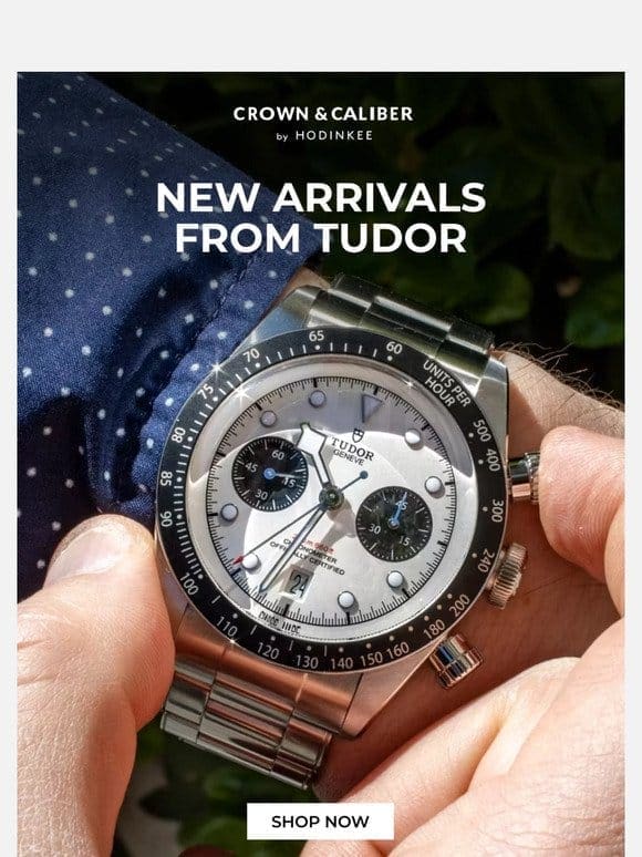 The Latest From Tudor