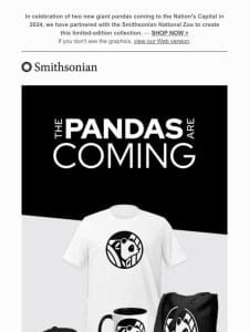 The Pandas Are Coming – Shop the Collection!