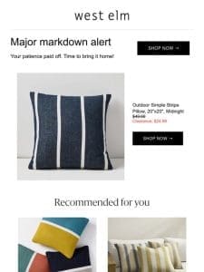 The Simple Stripe Indoor/Outdoor Pillow you loved is now on sale!