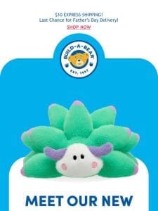 The Snuggliest Sea Slug Ever – Meet Our NEW Leaf Sheep!