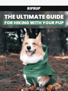 The Ultimate Hiking Guide for You and Your Pup  ️