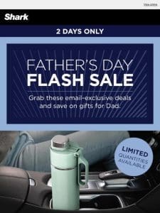 Two-day deals for the dad who does it all.