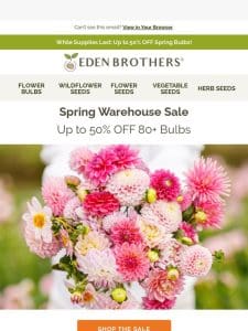 Up to 50% Off Spring Bulbs