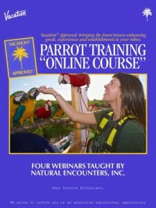 Vacation® Approved: Parrot Training Course