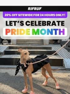 Want it? 20% off sitewide for Pride Month!