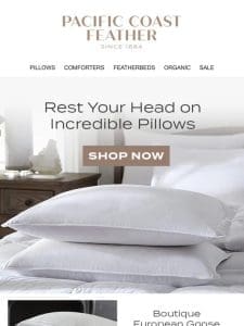 We Have The Pillows of Your Dreams