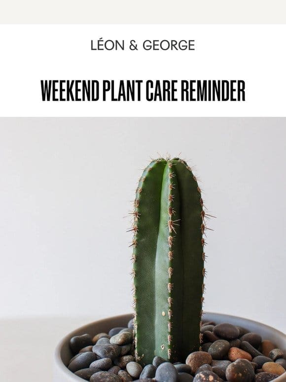 Weekend Plant Care Reminder