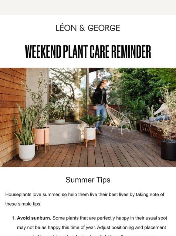 Weekend Plant Care Reminder