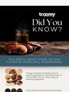 Wellness Facts on Medicinal Mushrooms