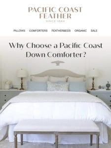 Why Buy a Down Comforter From Us?