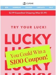 You Could Win a $100 Coupon!