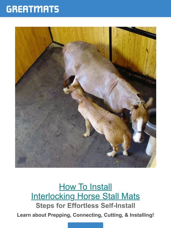Your Guide to Installing Horse Stall Mats?