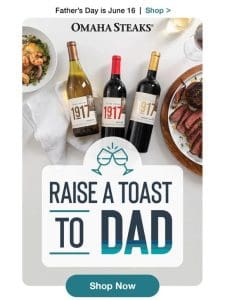 +   = the perfect Father’s Day gift.