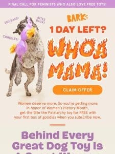 ? 1 day left for your FREE Women’s History Month toy ?