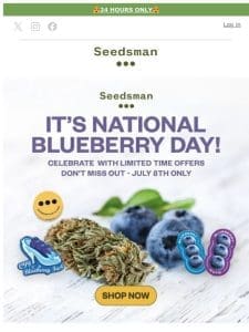 10% off all blueberry flavors