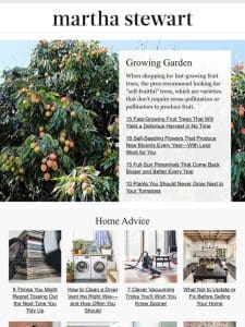 15 Fast-Growing Fruit Trees That Will Yield a Delicious Harvest in No Time
