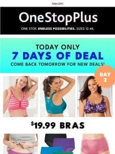 $19.99 Bras， Panties & Sleepwear