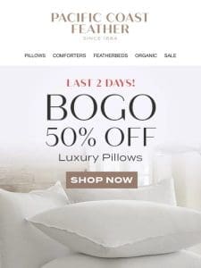 2 Days Left to Shop Luxury Down & Feather Pillows