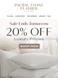 20% OFF Pillows Ends Soon!