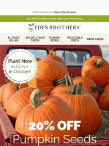 20% OFF   Plant Pumpkins Now!