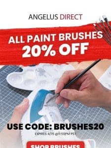 20% Off All Paint Brushes! ???