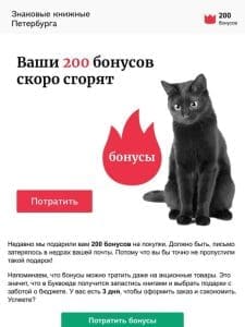 200 бонусов скоро пропадут ??