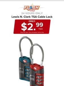 24 HOURS ONLY | LEWIS N. CLARK CABLE LOCK | FLASH SALE