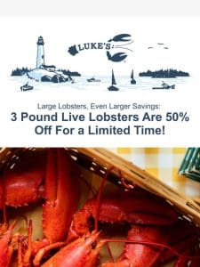 3 Pound Live Lobsters For a Very Limited Time!