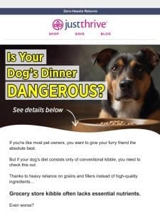 3 dog food danger signs