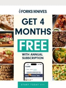 4 free months of meal plans