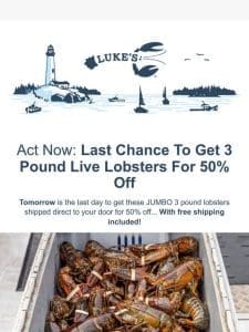 50% Off 3 Pound Lobsters End Tomorrow!