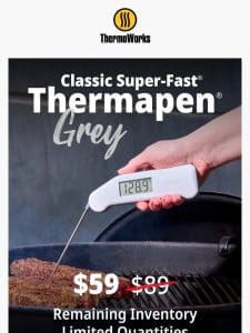 $59 Classic Super-Fast Thermapen in Grey