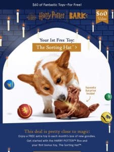 6 Free Toys For Your Magical Creature ?