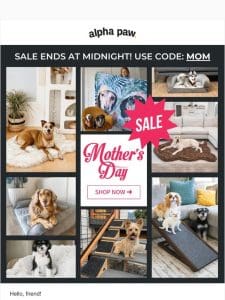 ? 8-Hours Left! Mother’s Day Sale Ends Tonight.