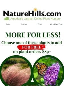 A FREE Plant On Orders Over $89