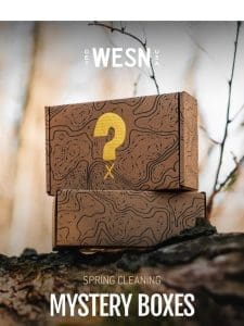 AVAILABLE NOW: THE MYSTERY BOX