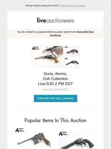 Accurate Gun Auctions | Antique Firearms