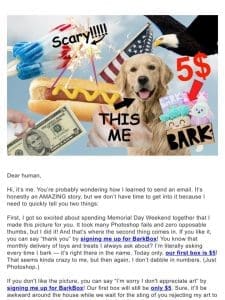 An email from your dog. A $5 box from us.