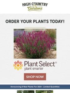 Announcing 6 New Plant Select Plants For 2024