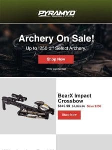 Archery On SALE! Up to $250 Off